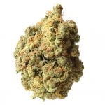 Amsterdam Genetics - AK 020 Autoflower (5 seeds pack) wholesale Amsterdam Genetics - AK 020 Autoflower