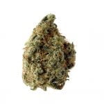 Amsterdam Genetics - White Choco (5 seeds pack) wholesale Amsterdam Genetics - White Choco
