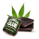 wholesale Gorilla Glue cannabis brownies