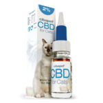Cibdol CBD Oil for Cats 2% (10ml) Wholesale Cibdol CBD Oil for Cats 2%