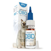 Wholesale Cibdol CBD Oil for Cats 2%