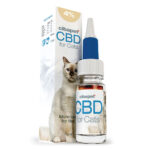 Cibdol CBD Oil for Cats 4% (10ml) Wholesale Cibdol CBD Oil for Cats 4%