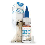 Cibdol CBD Oil for Dogs 2% (10ml) Wholesale Cibdol CBD Oil for dogs 2%
