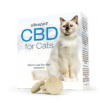 Wholesale Cibdol CBD Pastilles for Cats