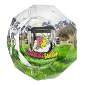 Best Buds Crystal Ashtray with Giftbox Strawberry Banana - Image 3
