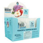 Integra Boost 2-Way Humidity Control Terpinolene Terpenes 62% RH - 67 Grams (12pcs/display) integra te 1
