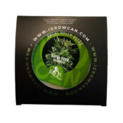 wholesale_royal_queen_seeds_igrowcan_royal_kush_4