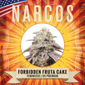 Narcos Forbidden Fruta Cake Feminized (3 seeds pack) - Image 2
