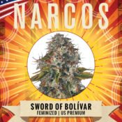 Narcos Sword of Boliávar Feminized (5 seeds pack) - Image 2