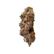 Royal Queen Seeds Bubble Kush feminized cannabis seeds (5 seeds pack) - Image 2