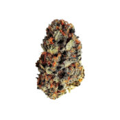 Royal Queen Seeds Dance World CBD cannabis seeds (3 seeds pack) - Image 2