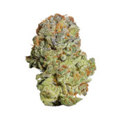 wholesale-royal-queen-seeds-fruit-spirit-feminized-cannabis-seeds-pack