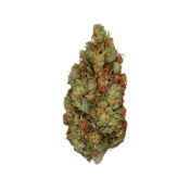 Royal Queen Seeds Green Gelato feminized cannabis seeds (5 seeds pack) - Image 2