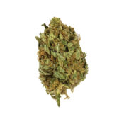 wholesale-royal-queen-seeds-kali-dog-feminized-cannabis-seeds-pack