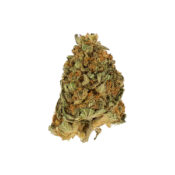 wholesale-royal-queen-seeds-northern-light-feminized-cannabis-seeds-pack