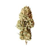 Royal Queen Seeds Royal AK Auto autoflowering cannabis seeds (3 seeds pack) - Image 2