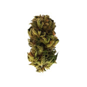 wholesale-royal-queen-seeds-royal-kush-auto-autoflowering-cannabis-seeds-pack
