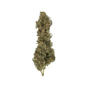 wholesale-royal-queen-seeds-royal-medic-cbd-cannabis-seeds-pack
