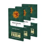 wholesale-barneys-farm-blue-gelato-cannabis-seeds-pack