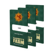 Barney's Farm LSD (3 seeds pack) - Image 2