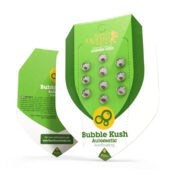 wholesale-royal-queen-seeds-bubble-kush-autoflowering-cannabis-seeds-3-seeds-pack-1