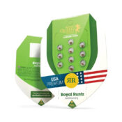 Venta al por mayor - Royal Queen Seeds - Royal Runtz Auto - Semillas de cannabis autoflorecientes - Paquete de 3 semillas - 1