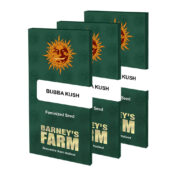 wholesale-barneys-farm-bubba-kush-feminized-cannabis-seeds-3-seeds-pack-1