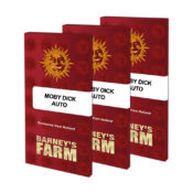 wholesale-barneys-farm-moby-dick-auto-autoflowering-cannabis-seeds-3-seeds-pack-1