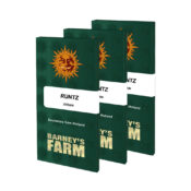 wholesale-barneys-farm-runtz-feminized-cannabis-seeds-5-seeds-pack-1