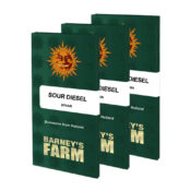 wholesale-barneys-farm-sour-diesel-feminized-cannabis-seeds-5-seeds-pack-1