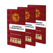 wholesale-barneys-farm-strawberry-cheesecake-auto-autoflowering-cannabis-seeds-5-seeds-pack-1