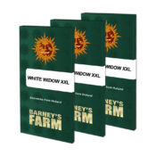 wholesale-barneys-farm-white-widow-xxl-feminized-cannabis-seeds-5-seeds-pack-3
