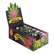 wholesale-cannabis-lollipops-box-bubblegum-thc-free-70pcs-display
