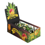 HaZe Cannabis Lollipops Box Mango Kush (70pcs/display) wholesale-cannabis-lollipops-box-mango-kush-thc-free-70pcs-display