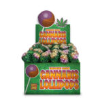Wholesale The Hempy Lab Cannabis Lollipops Tangerine Dream (70pcs/display)-2