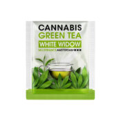Cannabis Green Pyramid Tea White Widow (10packs-display)-Wholesale-6